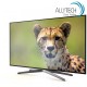 Smart TV 309